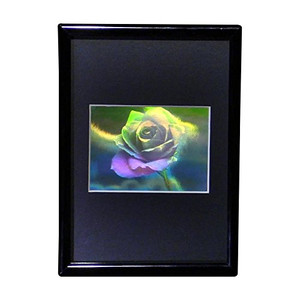 Blooming Rose (Large) Hologram Picture (FRAMED), 3D Collectible Embossed Type Animated Stereogram Blooming Rose (Large) Hologram Picture (FRAMED), 3D Collectible Embossed Type Animated Stereogram
