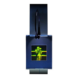 3D Boxer Multi-Channel Hologram Picture (LIGHTED WALL DISPLAY), Collectible Photopolymer Type Film