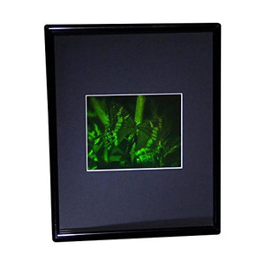 3D Butterfly Hologram Picture (FRAMED), Collectible on Silver Halide Type Film 3D Butterfly Hologram Picture (FRAMED), Collectible on Silver Halide Type Film