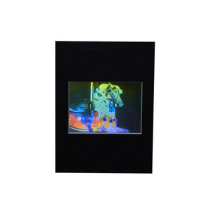 3D Carosel Horse True Colour Hologram Picture (MATTED), Collectible Embossed Type Film 3D Carosel Horse True Colour Hologram Picture (MATTED), Collectible Embossed Type Film
