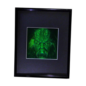 3D FERENGI KLINGON BORG Hologram Picture (FRAMED), Collectible Multi-Channel Reflection Photopolymer Film 3D FERENGI KLINGON BORG Hologram Picture (FRAMED), Collectible Multi-Channel Reflection Photopolymer Film