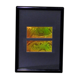 3D Girafe / Hippo 2-Channel 2-Up Hologram Picture (FRAMED), Collectible Photopolymer Type Film 3D Girafe / Hippo 2-Channel 2-Up Hologram Picture (FRAMED), Collectible Photopolymer Type Film
