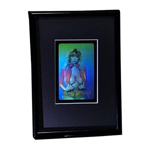 3D HoloBabe Stereogram 3D Hologram Picture (FRAMED), Collectible Embossed Type Film 3D HoloBabe Stereogram 3D Hologram Picture (FRAMED), Collectible Embossed Type Film