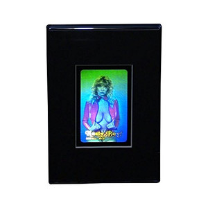3D HoloBabe Stereogram 3D Hologram Picture (DESK STAND), Collectible Embossed Type Film 3D HoloBabe Stereogram 3D Hologram Picture (DESK STAND), Collectible Embossed Type Film