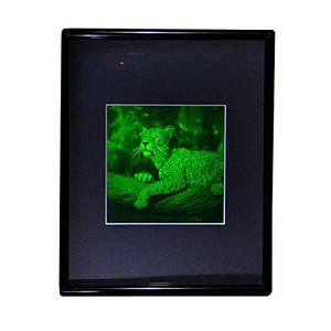 3D JAGUAR 2-Channel Hologram Picture (FRAMED), Collectible Photopolymer Type Film 3D JAGUAR 2-Channel Hologram Picture (FRAMED), Collectible Photopolymer Type Film