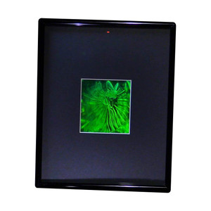 3D Jurassic Spitter Dinasaur 2-Channel Hologram Picture (FRAMED), Collectible Photopolymer Type Film 3D Jurassic Spitter Dinasaur 2-Channel Hologram Picture (FRAMED), Collectible Photopolymer Type Film