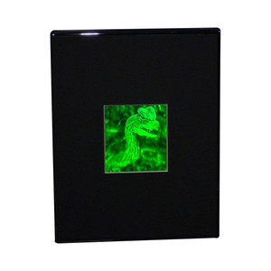 3D Jurassic Spitter Dinasaur 2-Channel Hologram Picture (DESK STAND), Collectible Photopolymer Type Film 3D Jurassic Spitter Dinasaur 2-Channel Hologram Picture (DESK STAND), Collectible Photopolymer Type Film