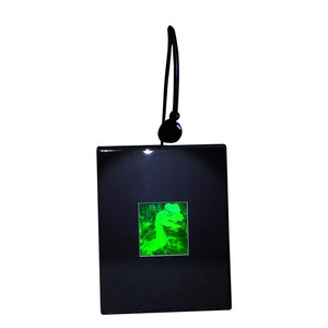 3D Jurassic Spitter Dinasaur 2-Channel Hologram Picture (LIGHTED DESK STAND), Collectible Photopolymer Type Film