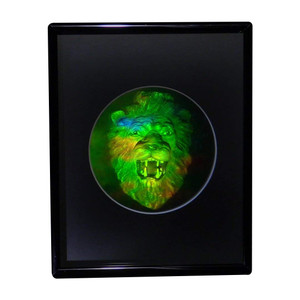3D Lion Head Hologram Picture(FRAMED), Collectible EMBOSSED Type Film 3D Lion Head Hologram Picture(FRAMED), Collectible EMBOSSED Type Film