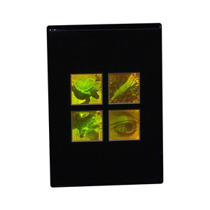 3D Nature 4-up 2-Channel Hologram Picture (DESK STAND), Collectible Polaroid Photopolymer Film 3D Nature 4-up 2-Channel Hologram Picture (DESK STAND), Collectible Polaroid Photopolymer Film