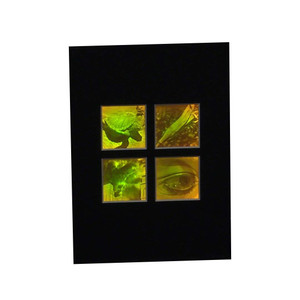3D Nature 4-up 2-Channel Hologram Picture (MATTED), Collectible Polaroid Photopolymer Film 3D Nature 4-up 2-Channel Hologram Picture (MATTED), Collectible Polaroid Photopolymer Film