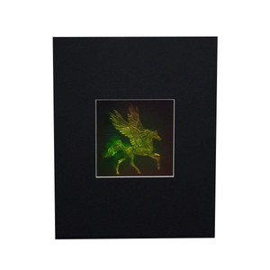 3D Pegasus 4" Square with Plain Background Hologram Picture (MATTED), Collectible Photopolymer Type Film 3D Pegasus 4" Square with Plain Background Hologram Picture (MATTED), Collectible Photopolymer Type Film