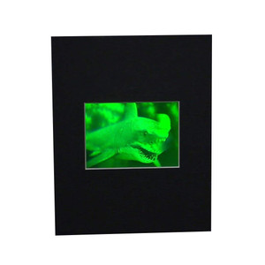 3D Shark (Great White) 2-Channel Hologram Picture (MATTED), Collectible Polaroid Photopolymer Film 3D Shark (Great White) 2-Channel Hologram Picture (MATTED), Collectible Polaroid Photopolymer Film