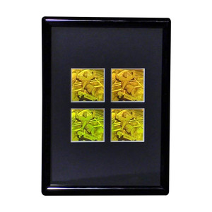 3D Skateboarder 4-up Hologram Picture (FRAMED), Collectible Photopolymer Type Film 3D Skateboarder 4-up Hologram Picture (FRAMED), Collectible Photopolymer Type Film