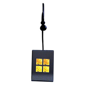 3D Skateboarder 4-up Hologram Picture (LIGHTED DESK STAND), Collectible Photopolymer Type Film 3D Skateboarder 4-up Hologram Picture (LIGHTED DESK STAND), Collectible Photopolymer Type Film