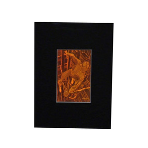 3D Spiderman Matted Hologram Picture, Collectible Polaroid Photopolymer Film EXTREMELY LIMITED QUANTITY LEFT 3D Spiderman Matted Hologram Picture, Collectible Polaroid Photopolymer Film EXTREMELY LIMITED QUANTITY LEFT