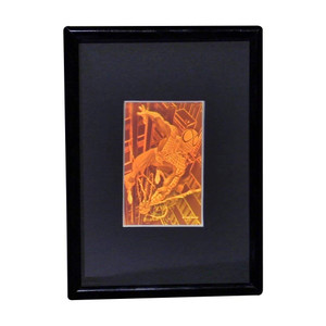 3D Spiderman Hologram Picture (FRAMED), Collectible Polaroid Photopolymer Film. 3D Spiderman Hologram Picture (FRAMED), Collectible Polaroid Photopolymer Film.