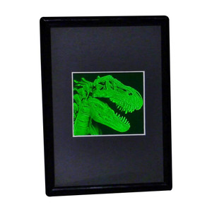 T- Rex Head 2-Channel Hologram Picture (FRAMED), Collectible Hologram Picture T- Rex Head 2-Channel Hologram Picture (FRAMED), Collectible Hologram Picture