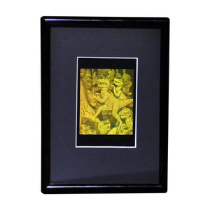 3D T-Rex Dinosaur Hologram Picture (FRAMED), Collectible Photopolymer Type Film 3D T-Rex Dinosaur Hologram Picture (FRAMED), Collectible Photopolymer Type Film