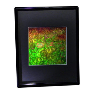 3D US Coins Hologram Picture (FRAMED), Collectible EMBOSSED Type Film