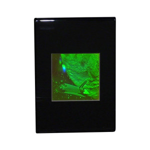 3D Space Shuttle HOLOGRAM (DESK STAND), Collectible Polaroid Photopolymer Film 3D Space Shuttle HOLOGRAM (DESK STAND), Collectible Polaroid Photopolymer Film