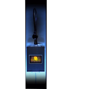 Heart w/ Heartline & Grid Large 3D Hologram Picture Photopolymer Lighted Wall Mount Heart w/ Heartline & Grid Large 3D Hologram Picture Photopolymer Lighted Wall Mount