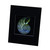 3D Nautilus Shell (Achromate) Hologram Picture NEW RUN 2024 (MATTED), Collectible EMBOSSED Type Film 3D Nautilus Shell (Achromate) Hologram Picture NEW RUN 2024 (MATTED), Collectible EMBOSSED Type Film