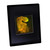 3D T-Rex DINOSAUR Large 2-Channel Hologram Picture (FRAMED), Collectible Photopolymer Type Film