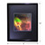 3D Teasel Plant Hologram Picture (FRAMED), Collectible EMBOSSED Type Film