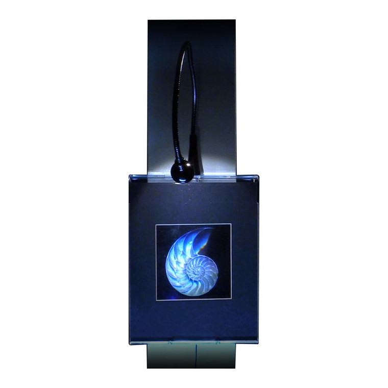 3D Nautilus Shell (Achromate) Hologram Picture(LIGHTED WALL DISPLAY), Collectible EMBOSSED Type Film