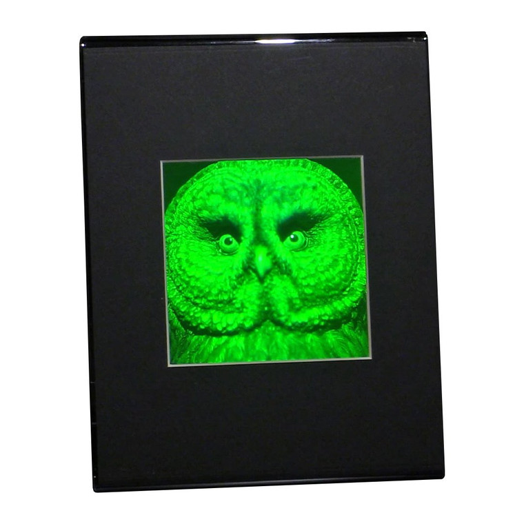 3D BIRDS OF PREY Hologram Picture Desk Stand, Collectible Polaroid Photopolymer Film