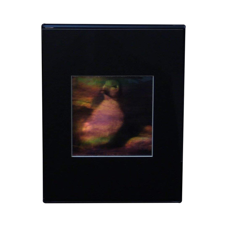 3D Duckling Hologram Picture (DESK STAND), Collectible EMBOSSED Type Film