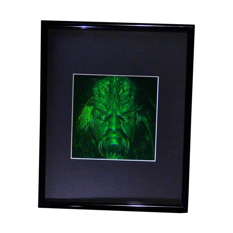 3D FERENGI KLINGON BORG Hologram Picture (FRAMED), Collectible Multi-Channel Reflection Photopolymer Film