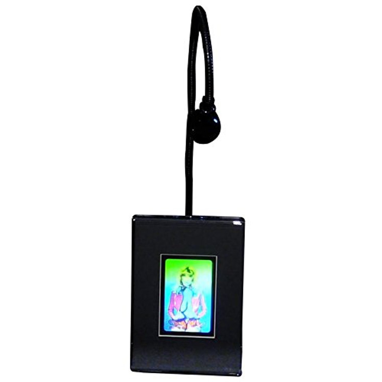 3D HoloBabe Stereogram 3D Hologram Picture (LIGHTED DESK STAND), Collectible Embossed Type Film