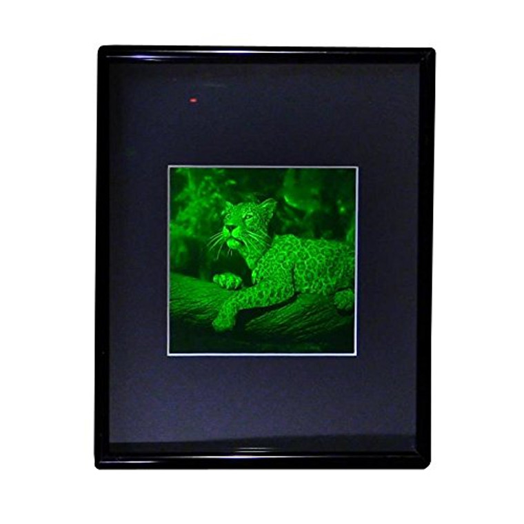 3D JAGUAR 2-Channel Hologram Picture (FRAMED), Collectible Photopolymer Type Film