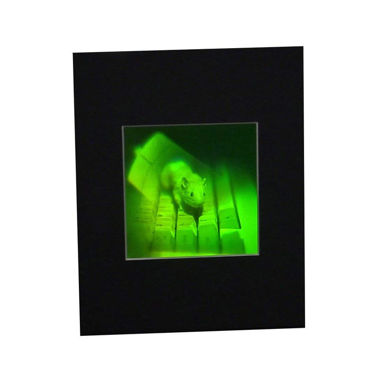 3D Mouse Multi-Channel Hologram Picture (MATTED), Collectible Polaroid Photopolymer Film