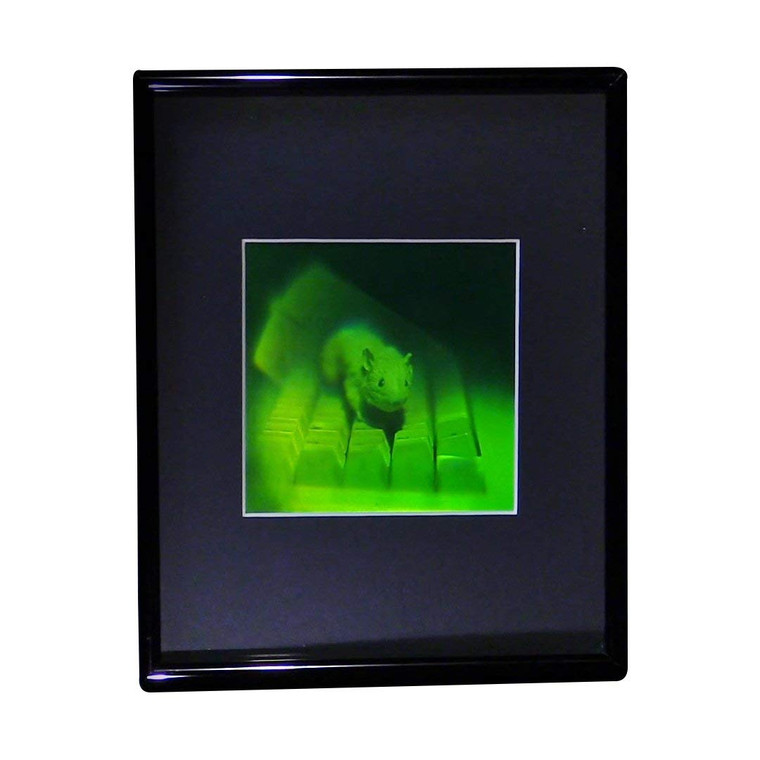 3D Mouse Multi-Channel Hologram Picture (FRAMED), Collectible Polaroid Photopolymer Film