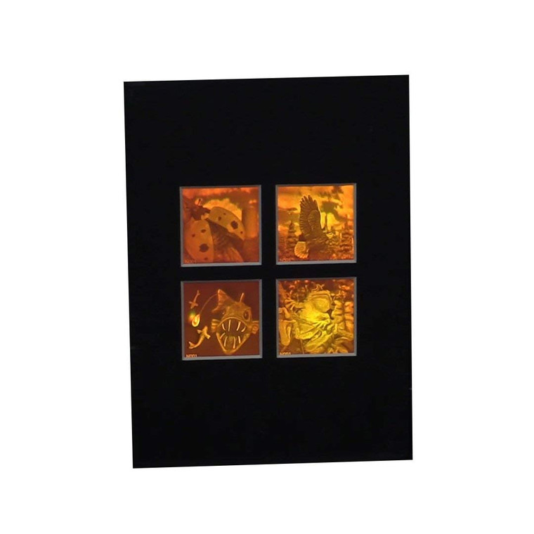 3D Nature 2 (Rare) 4-up 2-Channel Hologram Picture (MATTED), Collectible Polaroid Photopolymer Film