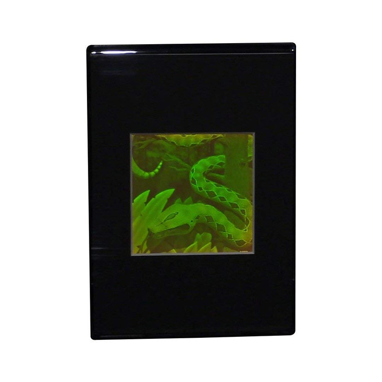 3D Snake Hologram Picture (DESK STAND), Collectible Polaroid Photopolymer Film