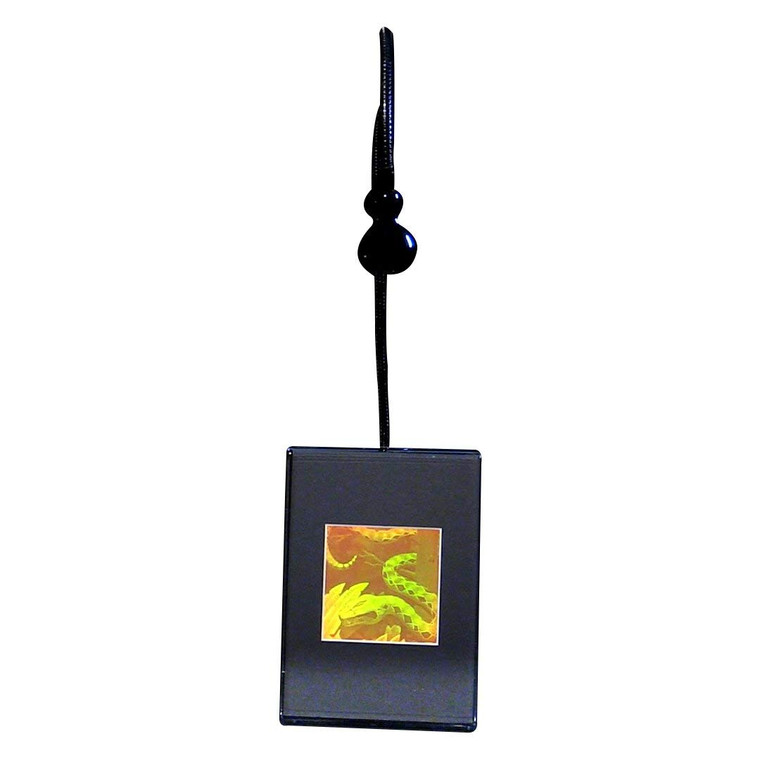 3D Snake Hologram Picture (LIGHTED DESK STAND), Collectible Polaroid Photopolymer Film
