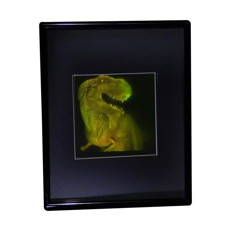 3D T-Rex DINOSAUR Large 2-Channel Hologram Picture (FRAMED), Collectible Photopolymer Type Film