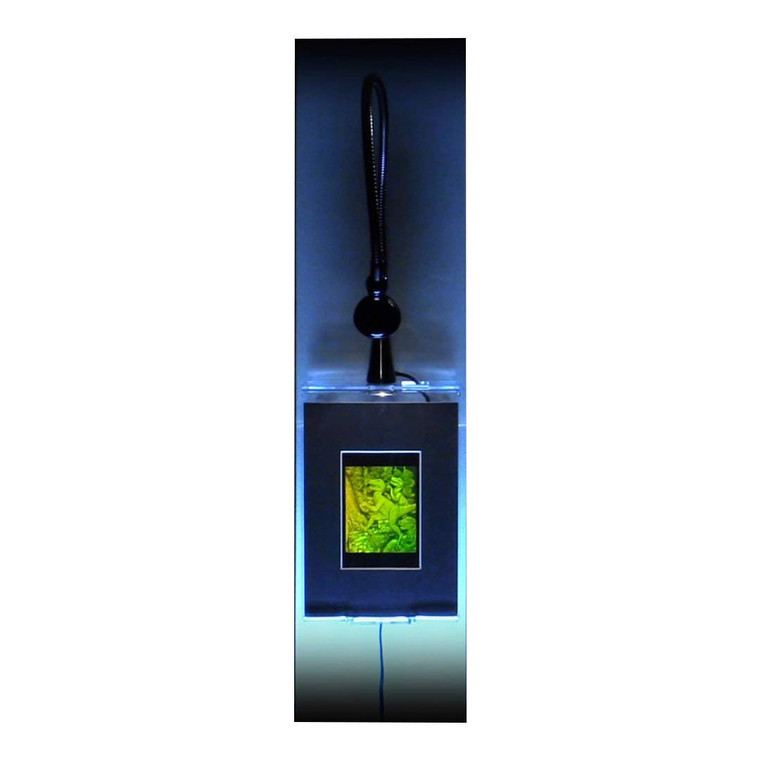 3D T-Rex Dinosaur Hologram Picture (LIGHTED WALL DISPLAY), Collectible Photopolymer Type Film