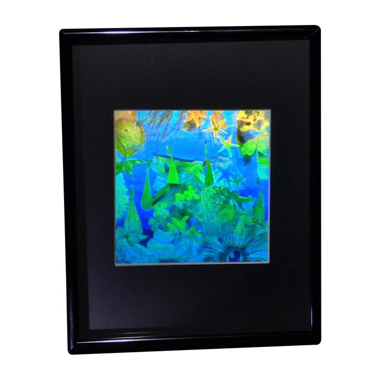 3D Undersea Hologram Picture(FRAMED), Collectible EMBOSSED Type Film