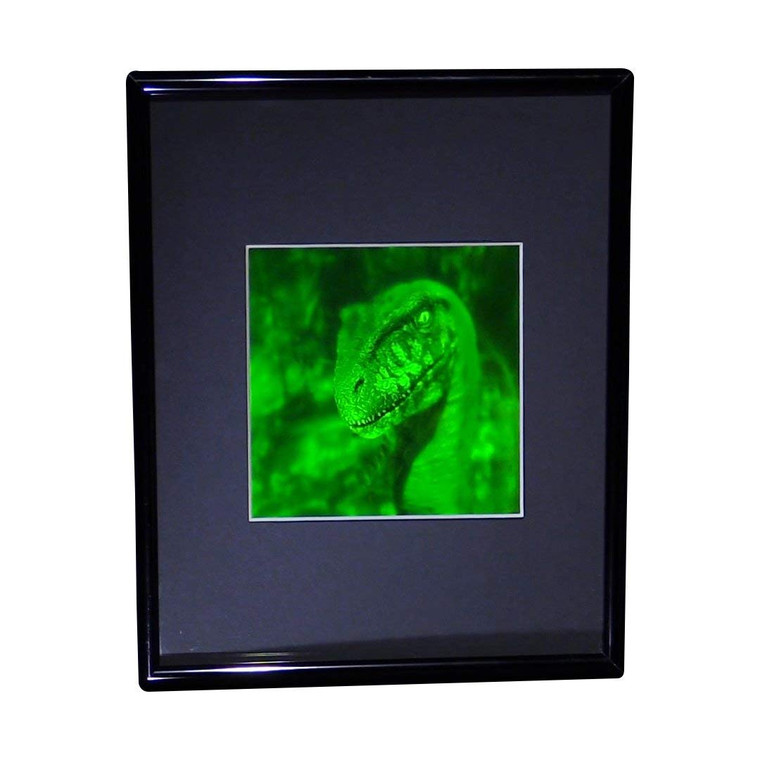 3D Velociraptor 2-Channel Hologram Picture (FRAMED), Collectible Photopolymer Type Film