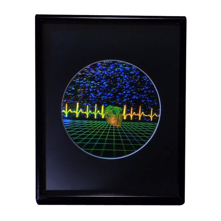 Heart w/ Heartline & Grid Large 3D Collectible Hologram Picture EMBOSSED Framed