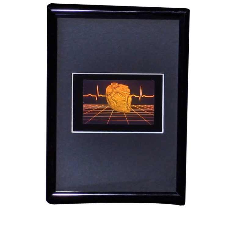 Polymer Heart with Grid PHOTOPOLYMER Hologram Picture Framed