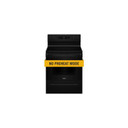 Whirlpool® 30-inch Electric Range with Steam Clean YWFES3330RB