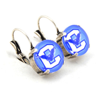 Connellsville Falcons Drop Earrings in Shiny Silver