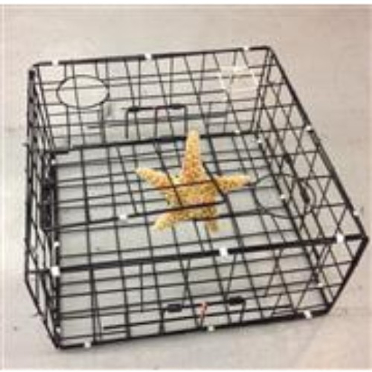 Square Crab Trap 24 Inch With Top Door Best