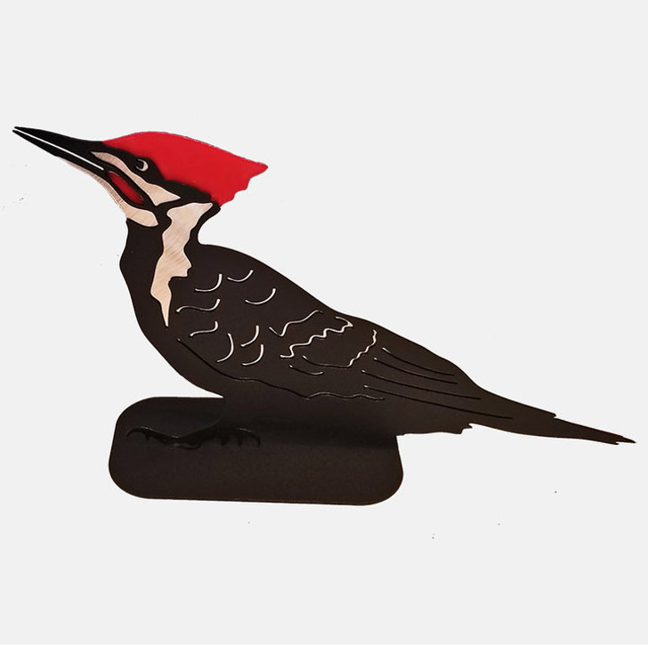 Pileated Woodpecker, Standing | Harbour Chandler
